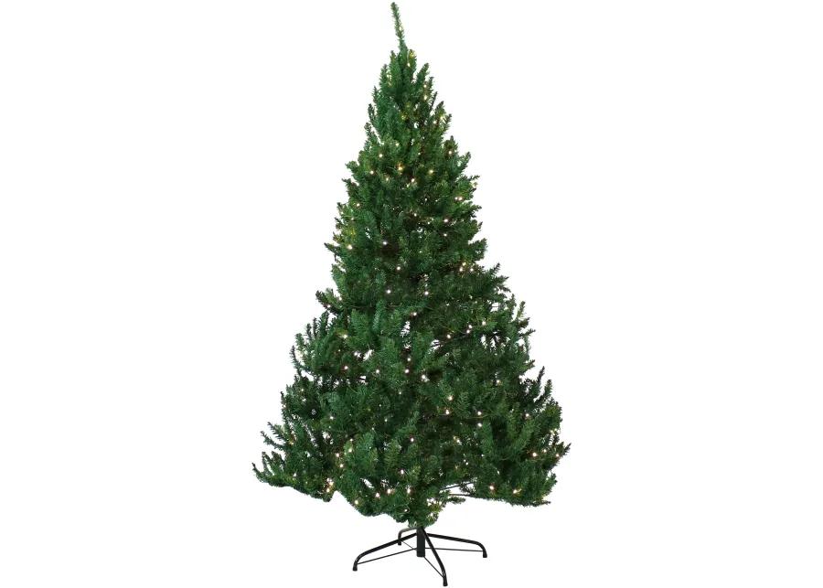 Sunnydaze Tannenbaum Indoor Pre-Lit Artificial Christmas Tree - 6 ft