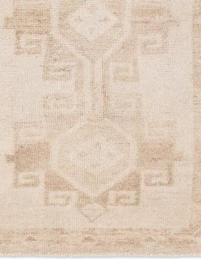 Lumal Barine Tan/Taupe 8'6" x 11'9" Rug