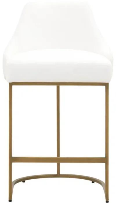 Parissa Counter Stool (Set of 2)