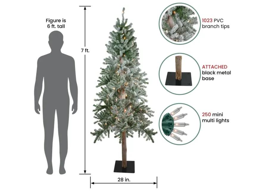 7' Pre-Lit Pencil Flocked Alpine Artificial Christmas Tree - Clear Lights