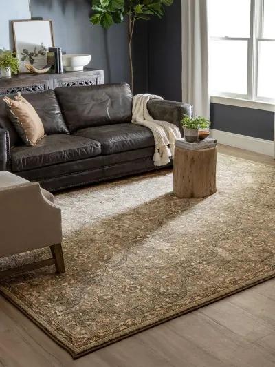 Euphoria Galway Willow gray 2' 4" X 7' 10" Rug