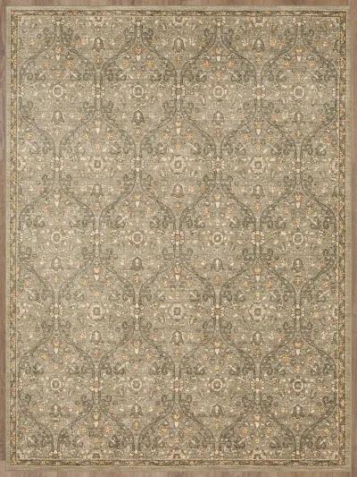 Euphoria Galway Willow gray 2' 4" X 7' 10" Rug