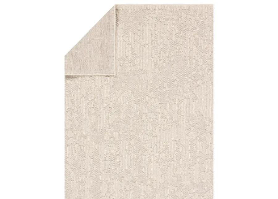 Continuum Parado x White 8' x 10' Rug