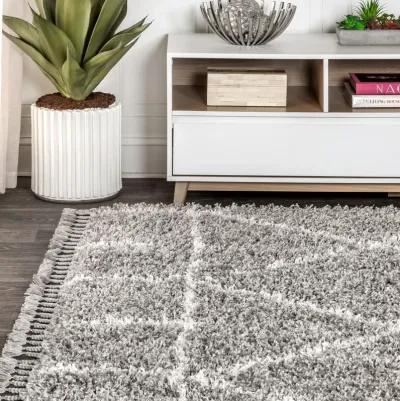 Mercer Shag Plush Tassel Moroccan Geometric Trellis Area Rug