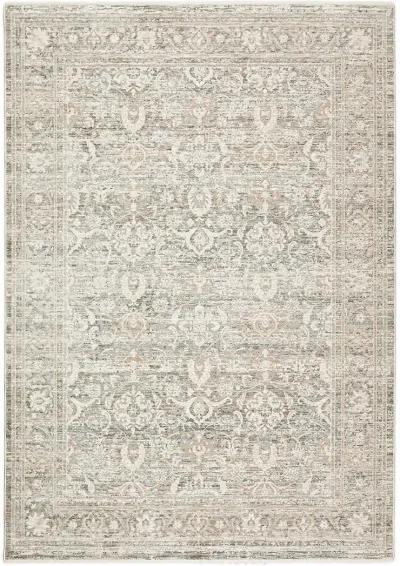 Regal RG1 Putty 2'3" x 7'10" Rug