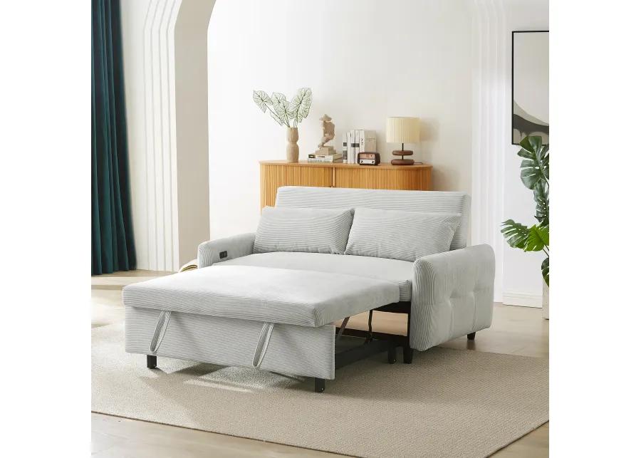 Merax Pull-out Sofa Bed Convertible Couch