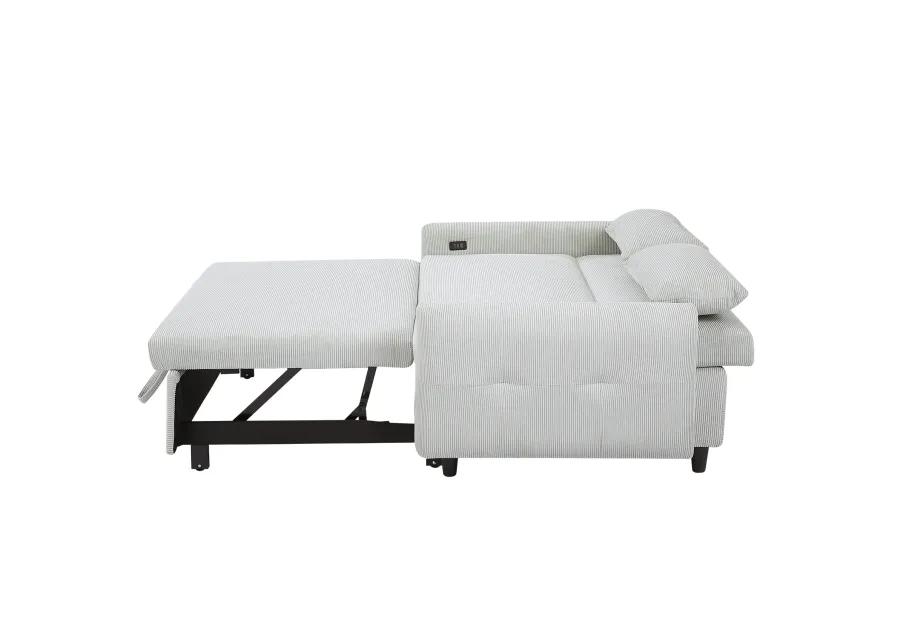 Merax Pull-out Sofa Bed Convertible Couch