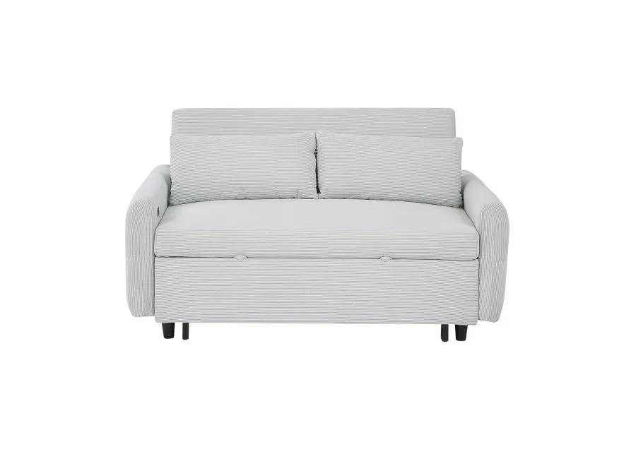 Merax Pull-out Sofa Bed Convertible Couch