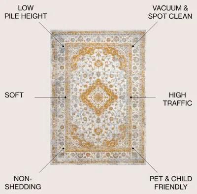 Indhira Ornate Medallion Persian Area Rug