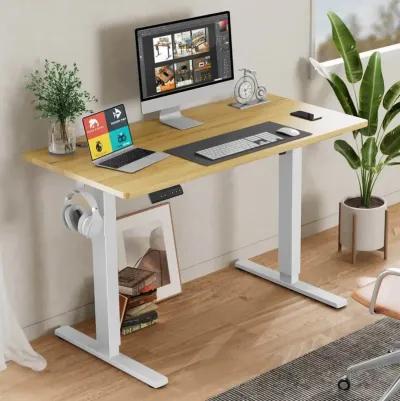 Electric Height Adjustable Standing Desk, Sit To Stand Ergonomic Computer Desk, Yellow, 55" X 24"