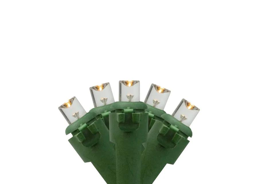 20 Battery Operated Warm White Wide Angle LED Christmas Lights - 9.5 ft  Green Wire