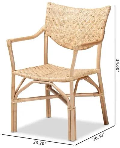 bali & pari Damani Modern Bohemian Natural Brown Finished Rattan Dining Chair