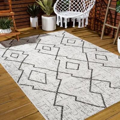 Carwa Tribal Diamond Trellis Indoor/Outdoor Area Rug