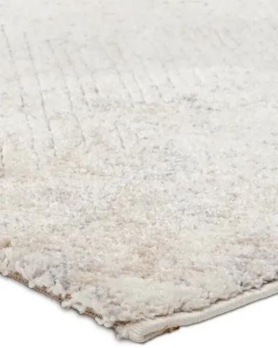 Ferris Natri x White 5' x 7'6" Rug