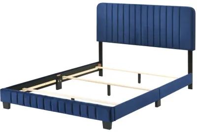 Lodi Navy Blue Queen Panel Bed