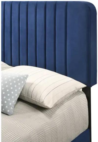 Lodi Navy Blue Queen Panel Bed