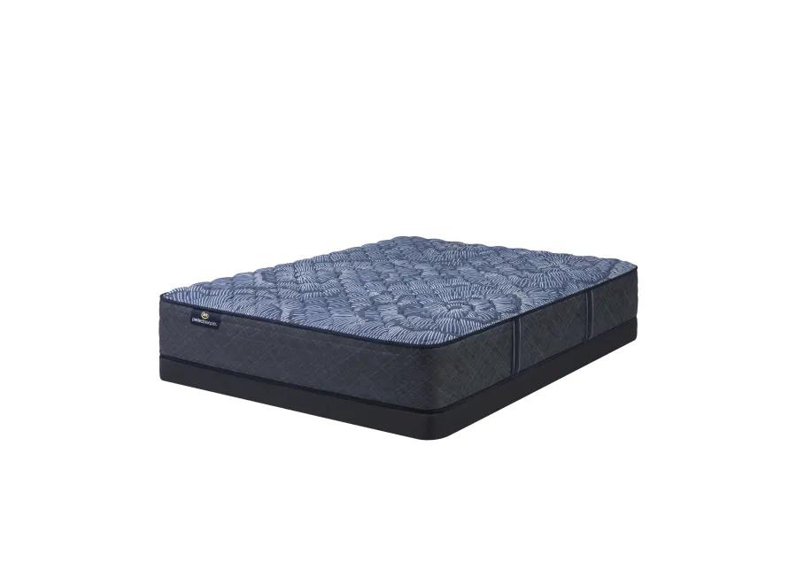 Perfect Sleeper Twin Bridges Firm Queen Mattress