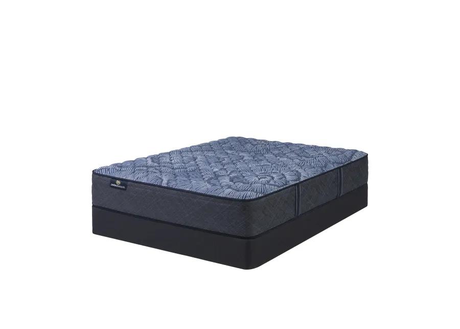 Perfect Sleeper Twin Bridges Firm Queen Mattress