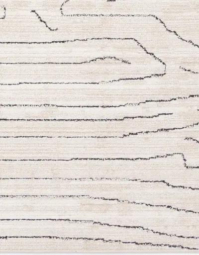 Newlyn Eva 9'6"x13'6" Rug