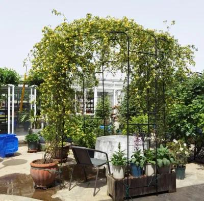 Birdcage Shaped Metal Garden Arch Gazebo