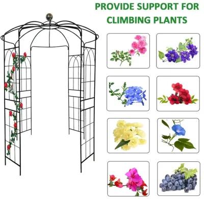 Birdcage Shaped Metal Garden Arch Gazebo