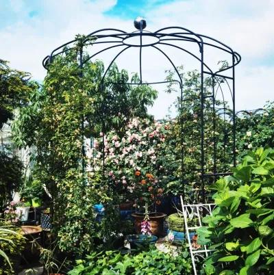 Birdcage Shaped Metal Garden Arch Gazebo