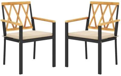 Set of 2 Patio Dining Chairs with Removable Padded Cushions