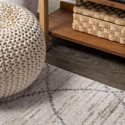 Asilah Moroccan Modern Diamond Area Rug