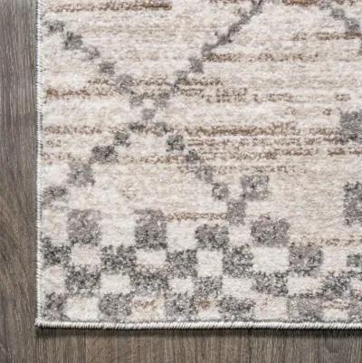 Asilah Moroccan Modern Diamond Area Rug