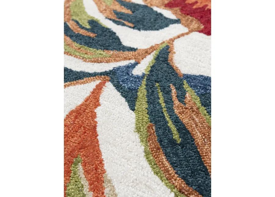 Miramar MIR970 8'9" x 11'9" Rug