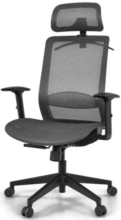 Hivvago Height Adjustable Ergonomic High Back Mesh Office Chair with Hange