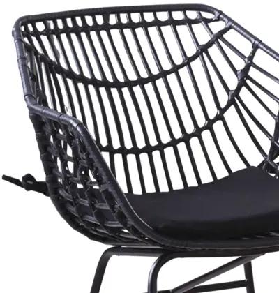 Niya Patio Chair Set of 2, Polyester, Black Steel, Outdoor Rattan Wicker