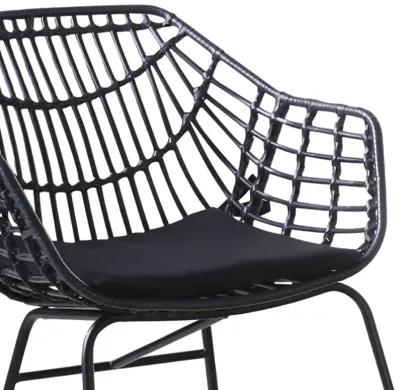 Niya Patio Chair Set of 2, Polyester, Black Steel, Outdoor Rattan Wicker