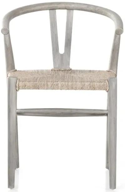 Muestra Dining Chair