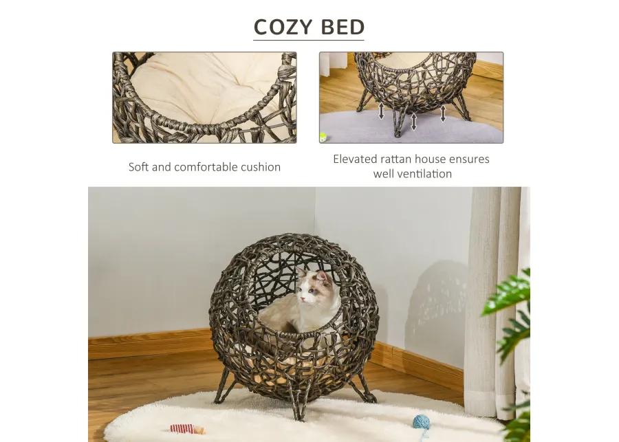 Golden Maroon Pet Bed: Elevated Wicker Cat Bed with Cushion