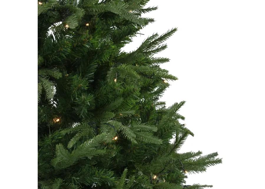 6.5' Pre-Lit Full Silverthorne Fir Artificial Christmas Tree - Warm White LED Lights