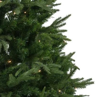 6.5' Pre-Lit Full Silverthorne Fir Artificial Christmas Tree - Warm White LED Lights