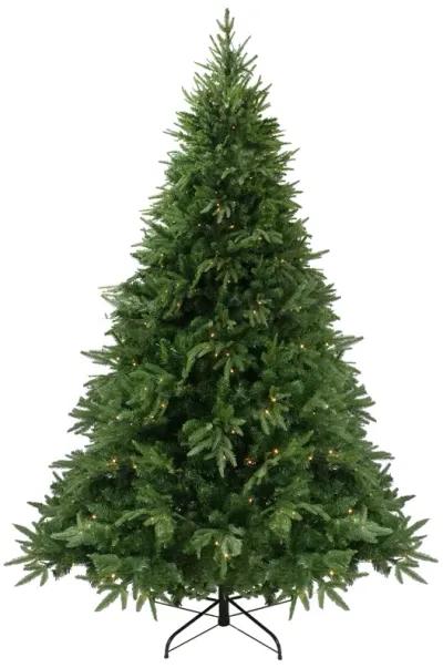 6.5' Pre-Lit Full Silverthorne Fir Artificial Christmas Tree - Warm White LED Lights