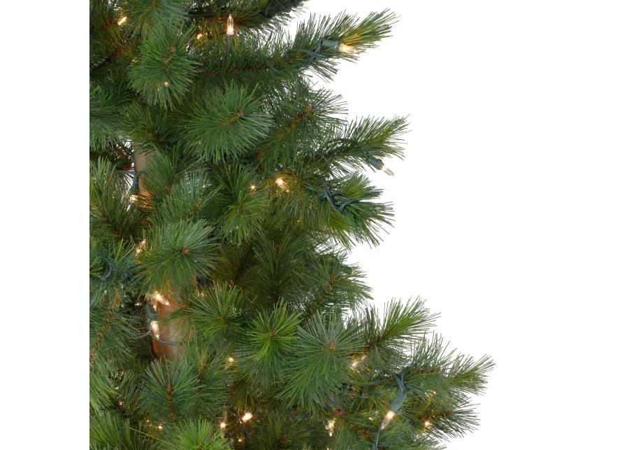 6.5' Pre-Lit Slim Royal Alpine Artificial Christmas Tree - Clear Lights