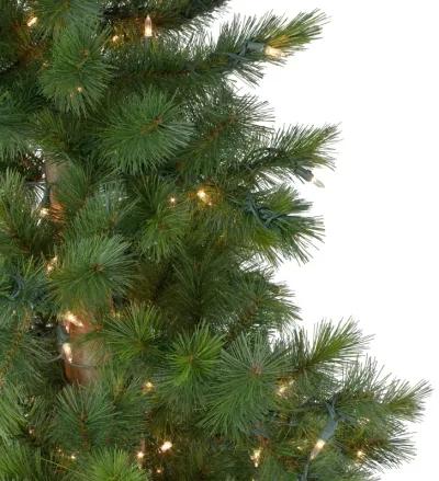 6.5' Pre-Lit Slim Royal Alpine Artificial Christmas Tree - Clear Lights