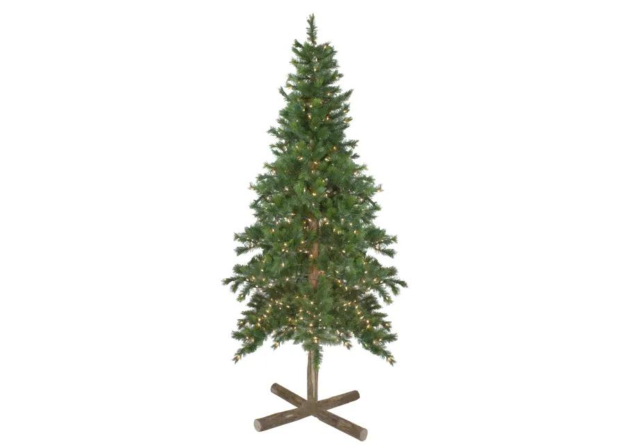 6.5' Pre-Lit Slim Royal Alpine Artificial Christmas Tree - Clear Lights