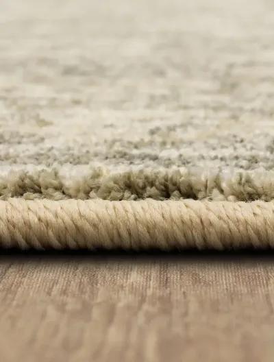 Touchstone Le Jardin Willow gray 2' X 3' Rug