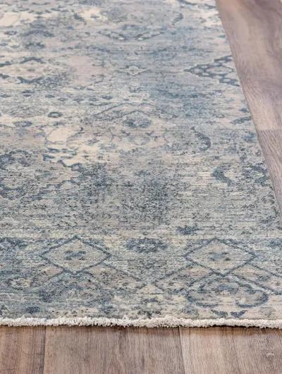 Platinum PNM107 2' x 3' Rug