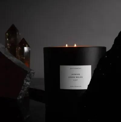 ENVIRONMENT 55oz Candle Inspired by Marriott Hotel® - Grapefruit | Red Currant | Jasmine