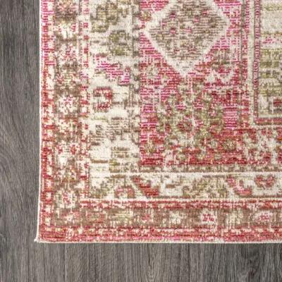 Darija Ornate Geometric Medallion Area Rug