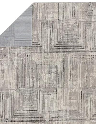 Graphite Sublime Gray 8' x 10' Rug