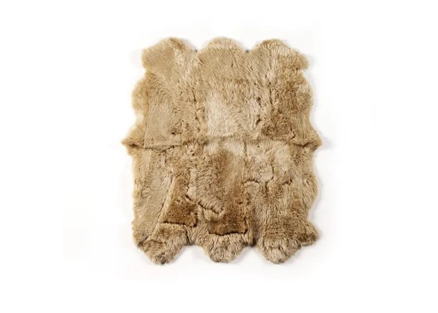 Lalo Beige Lambskin 5.75' x 5.75' Rug