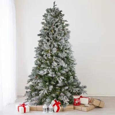 6.5' Pre-Lit LED Full Mixed Rosemary Emerald Angel Pine Artificial Christmas Tree - Clear Lights