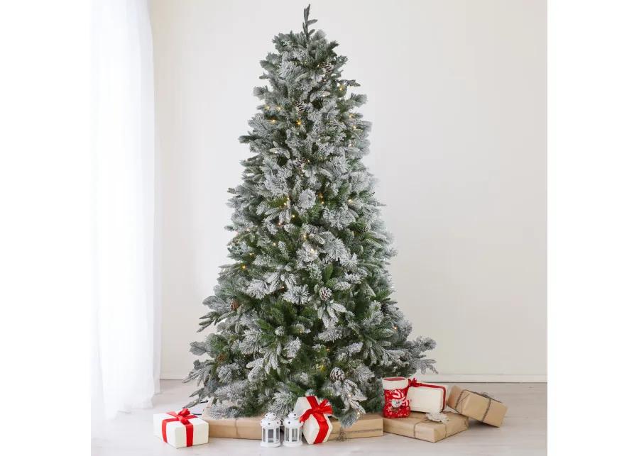 6.5' Pre-Lit LED Full Mixed Rosemary Emerald Angel Pine Artificial Christmas Tree - Clear Lights