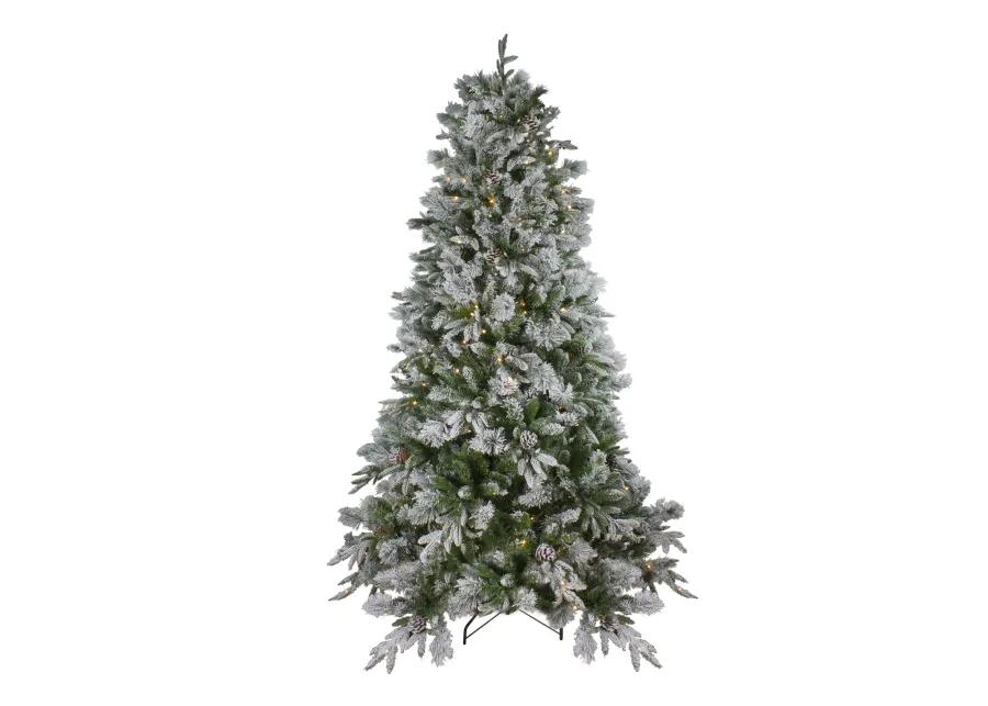 6.5' Pre-Lit LED Full Mixed Rosemary Emerald Angel Pine Artificial Christmas Tree - Clear Lights